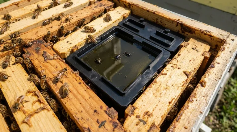 What are the steps for installing hive beetle traps? A Guide to Effective Beetle Control