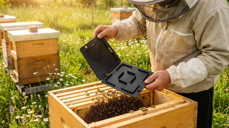 작은벌레 침입을 막는 데 어떤 팁이 도움이 될까요? 강한 군집을 만들고 양봉장 위생을 철저히 하세요