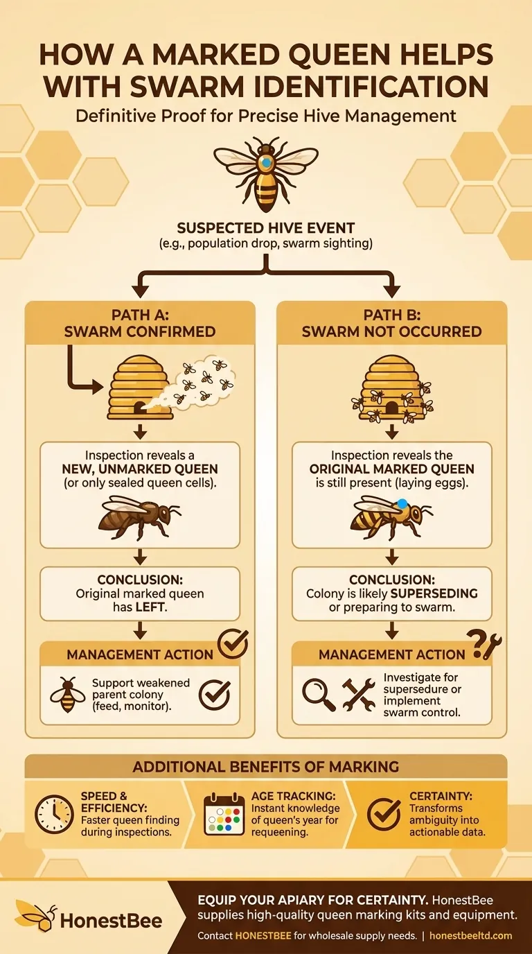 In che modo una regina marcata aiuta nell'identificazione dello sciame? Ottieni una diagnosi istantanea e certa dello sciame Guida Visiva