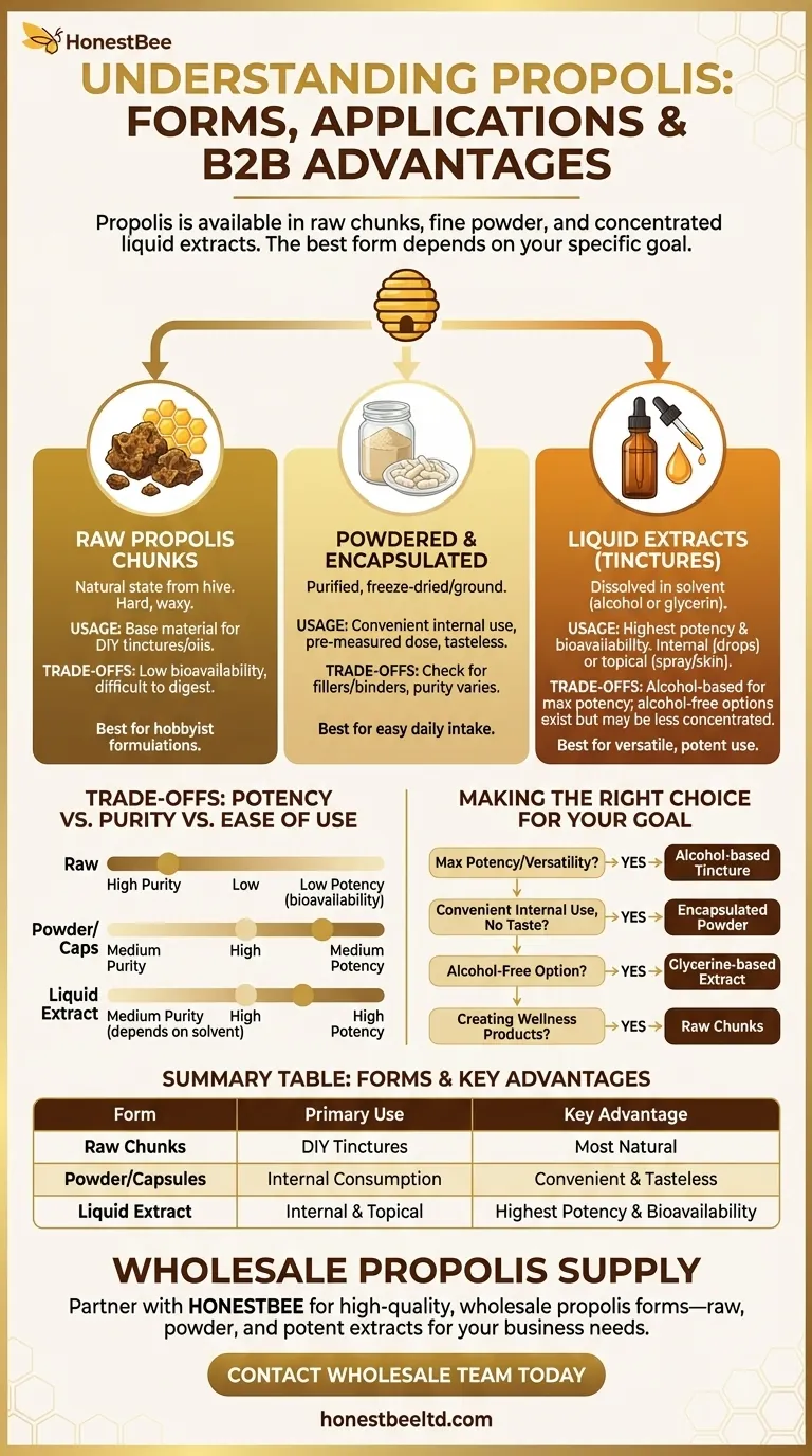 프로폴리스는 어떤 형태로 제공되나요? 필요에 맞는 올바른 형태를 선택하세요 시각적 가이드