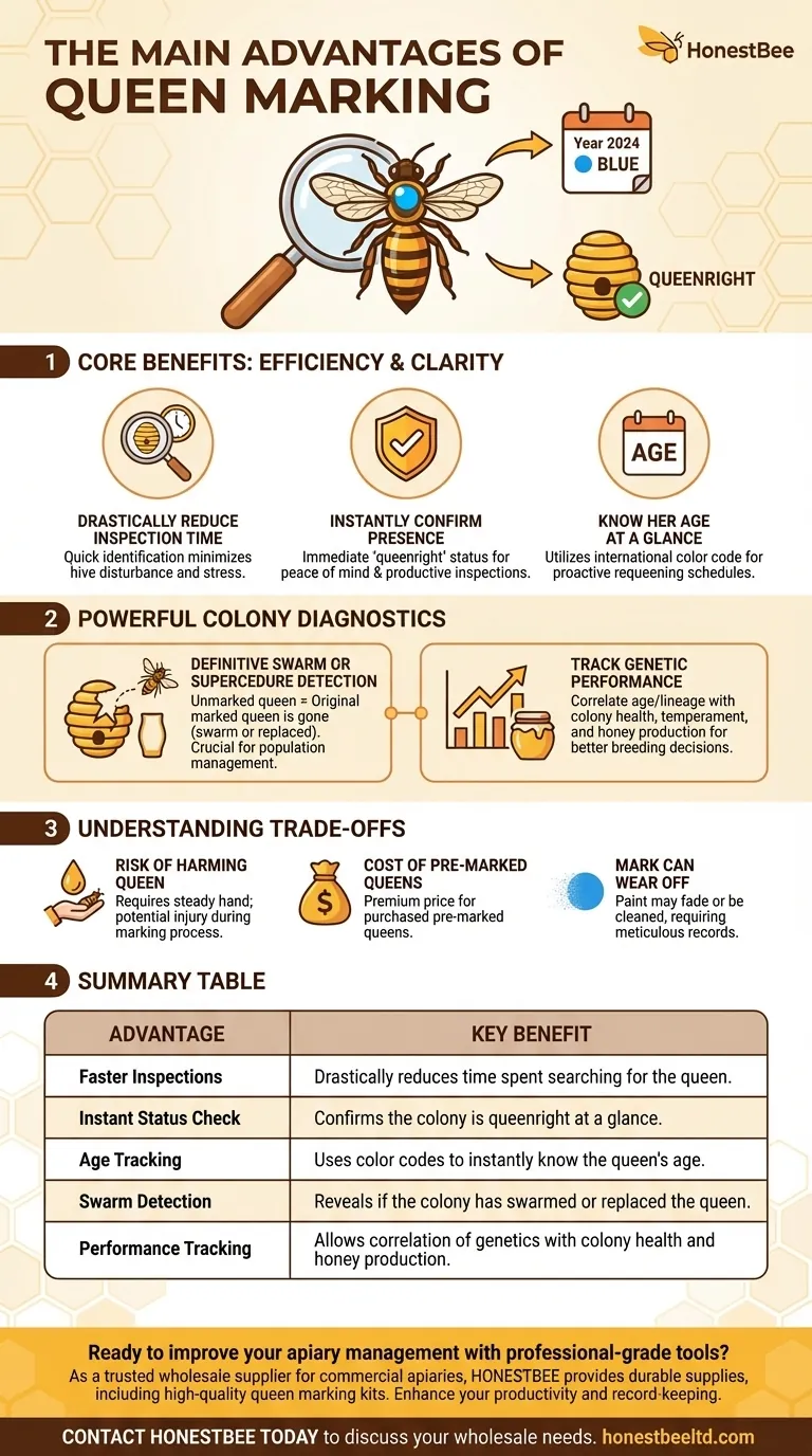 What are the main advantages of queen marking? Instantly Identify & Track Your Queen Bee Visual Guide