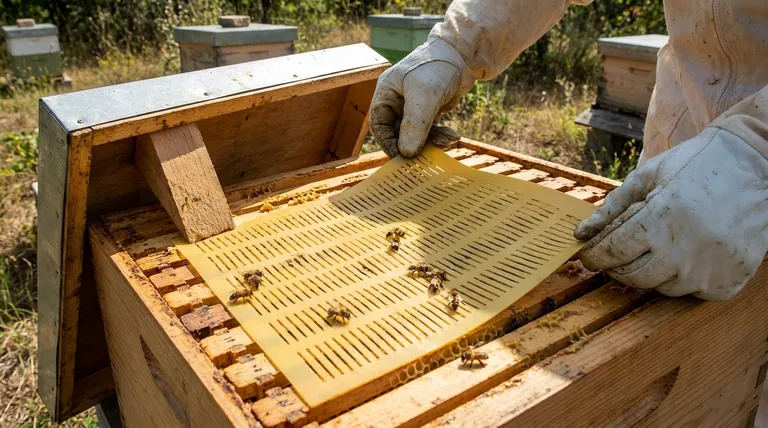 How do beekeepers collect propolis using traps? Boost Your Hive's Yield with Sustainable Harvesting