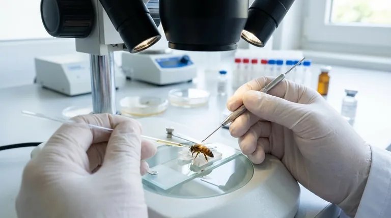 꿀벌 육종에서 인공수정(instrumental insemination)을 사용할 때의 이점은 무엇입니까? 절대적인 유전적 통제 획득