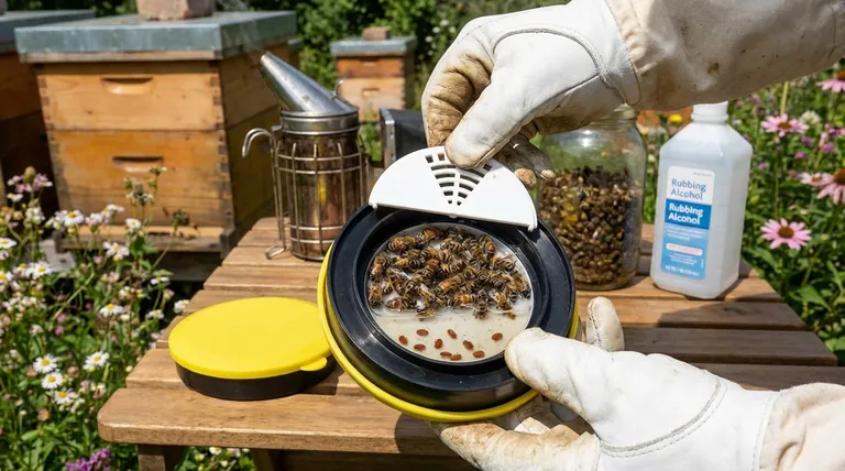 What is the purpose of the alcohol wash mite sampling method? Get Accurate Varroa Mite Data for Your Hives