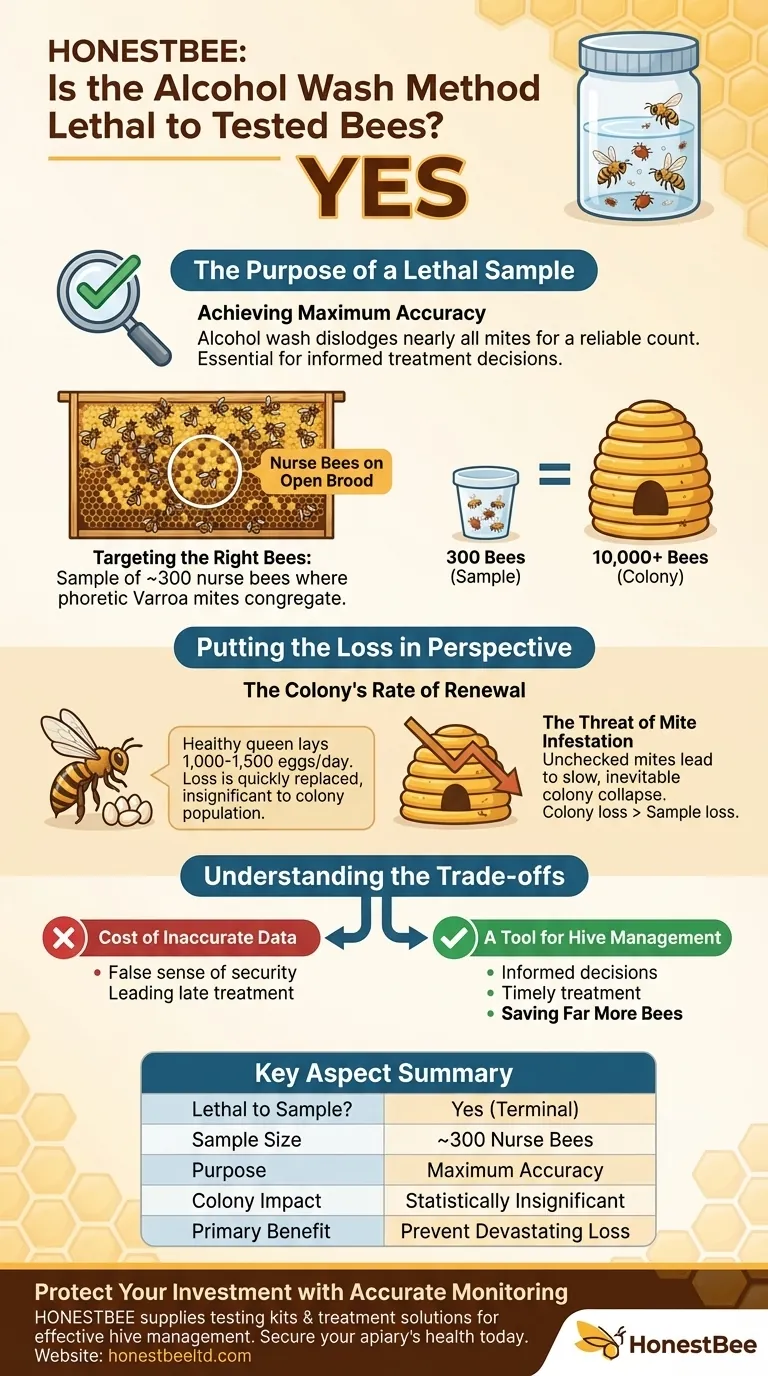 酒精洗涤法会杀死被测试的蜜蜂吗？蜂群健康的关键权衡 图解指南