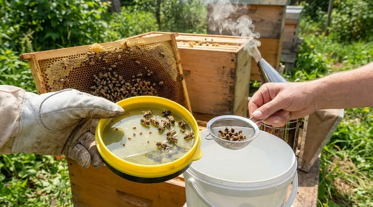 Убивает ли метод промывки спиртом тестируемых пчел? Критический компромисс для здоровья улья