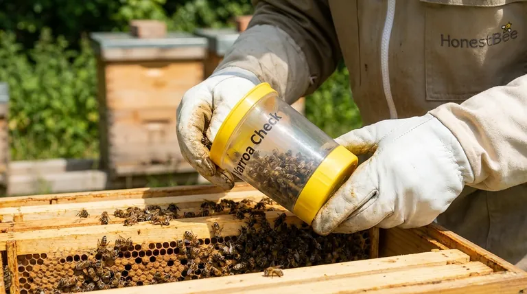 Comment les abeilles sont-elles prélevées pour un test de lavage à l'alcool ? Un guide étape par étape pour un échantillonnage précis des acariens Varroa