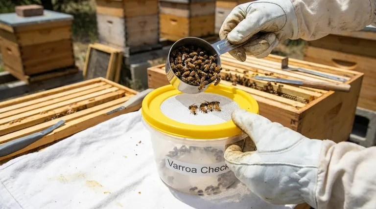 Why is consistency in sample size important for alcohol wash tests? Ensure Accurate Varroa Mite Monitoring