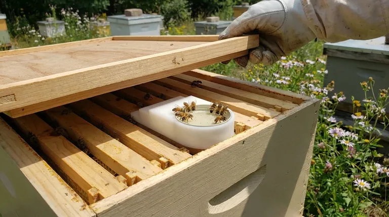 Какой тип кормушки рекомендуется и почему? Верхние кормушки для превосходного здоровья и эффективности улья