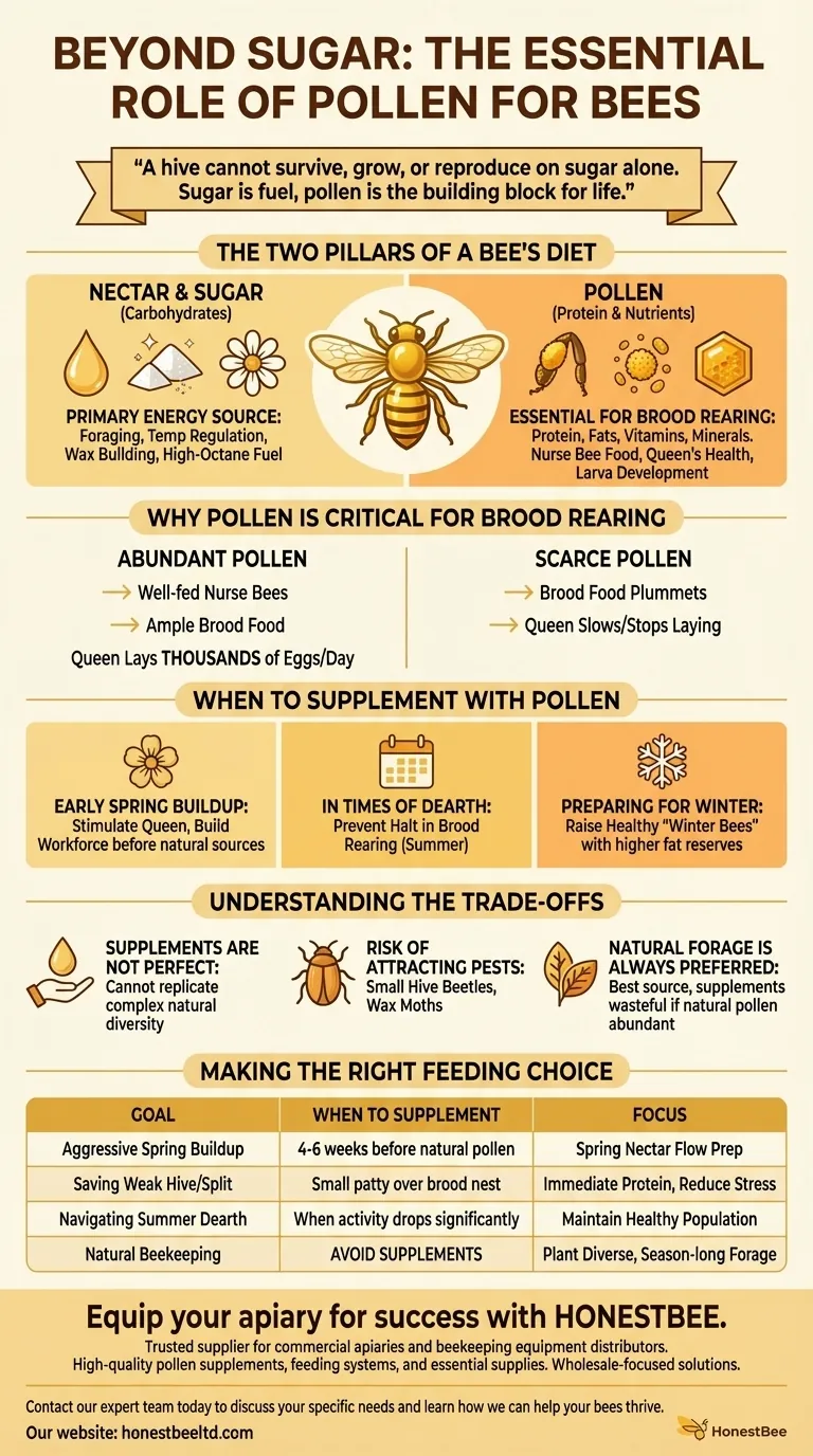 What additional food do bees need besides sugar? Ensure Colony Health with Essential Pollen Visual Guide