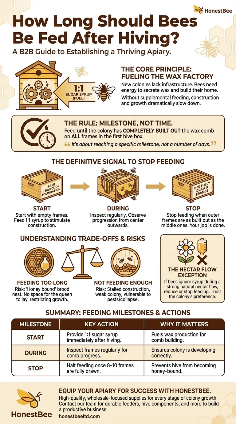 How long should bees be fed after hiving? Feed Until the First Brood Box is Fully Drawn Visual Guide