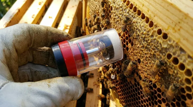 What are the advantages of a one-handed queen catcher? Mark Queens Safely and Efficiently