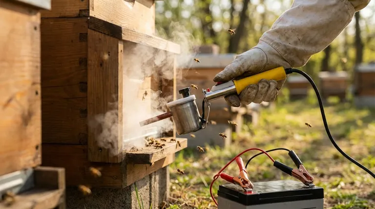 What is the primary threat to honey bees and beekeepers today? The Devastating Impact of Varroa Mites
