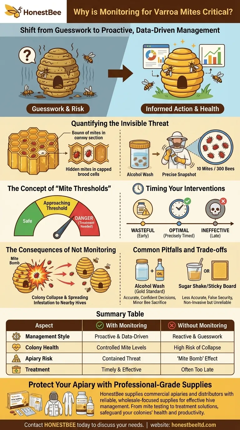 Why is monitoring for varroa mites important? The Key to Preventing Colony Collapse Visual Guide