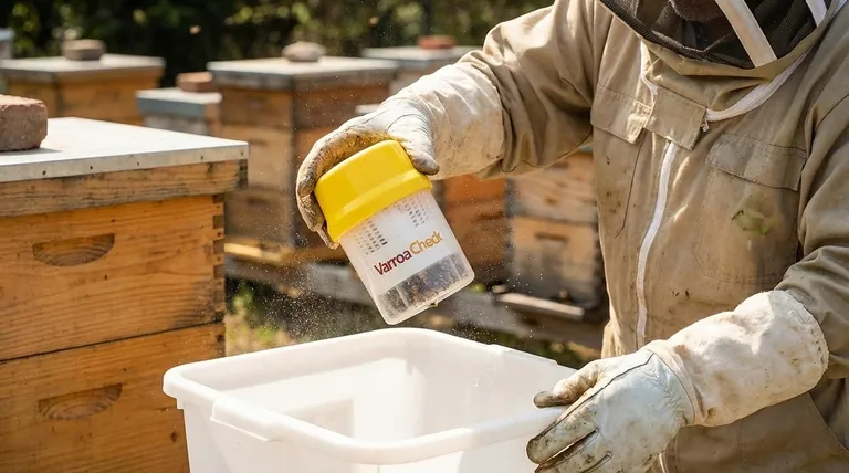 ¿Cuáles son los métodos de monitoreo alternativos que no matan a las abejas? Proteja su colmena con controles de Varroa seguros para las abejas