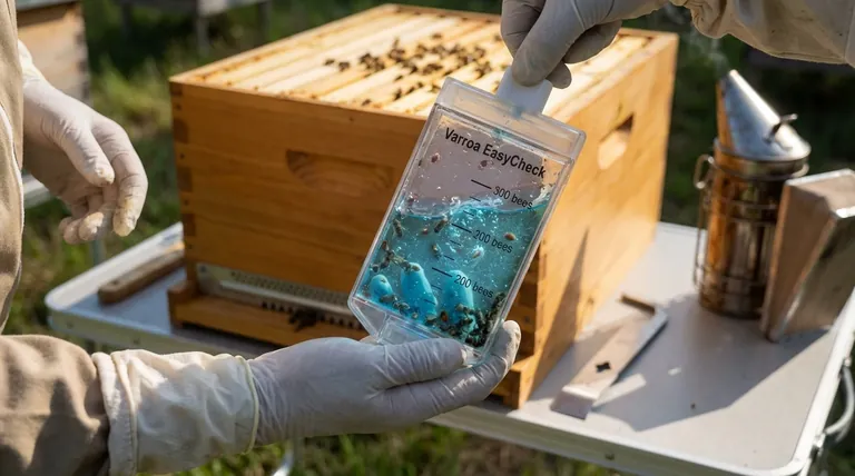 What are the steps to use the Varroa EasyCheck? Master Accurate Mite Monitoring for Your Apiary