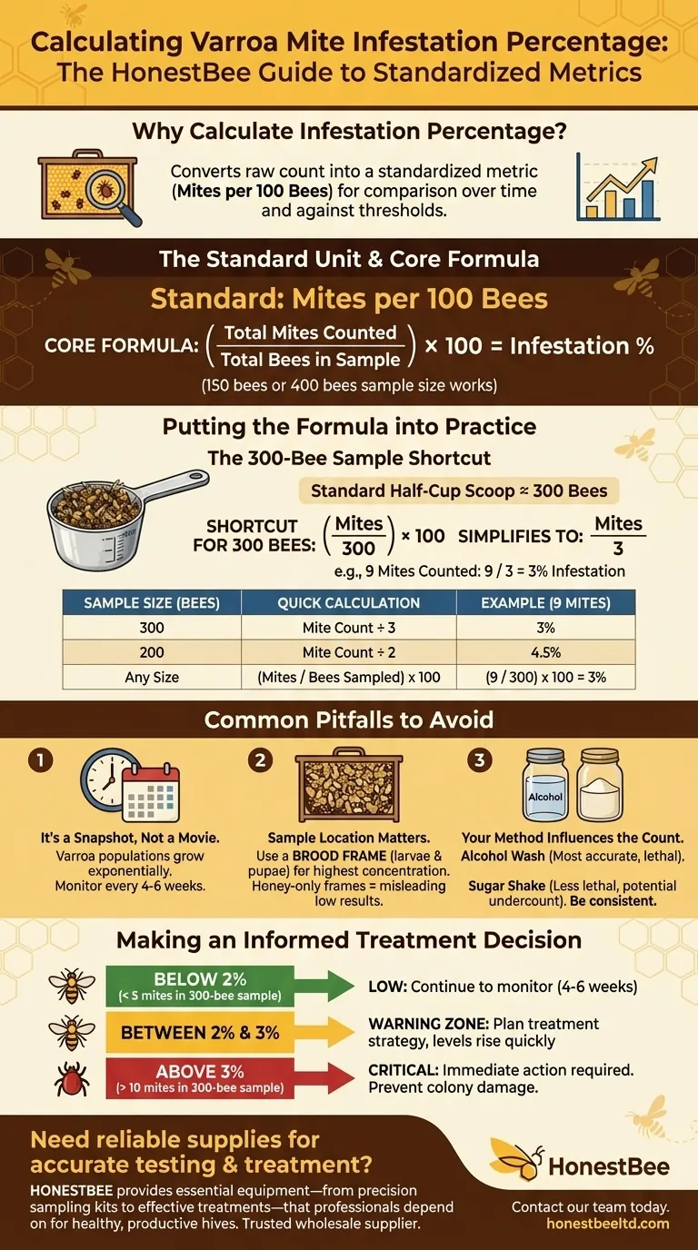 كيف يتم حساب نسبة الإصابة بعد عد العث؟ مراقبة عث الفاروا الرئيسية دليل مرئي