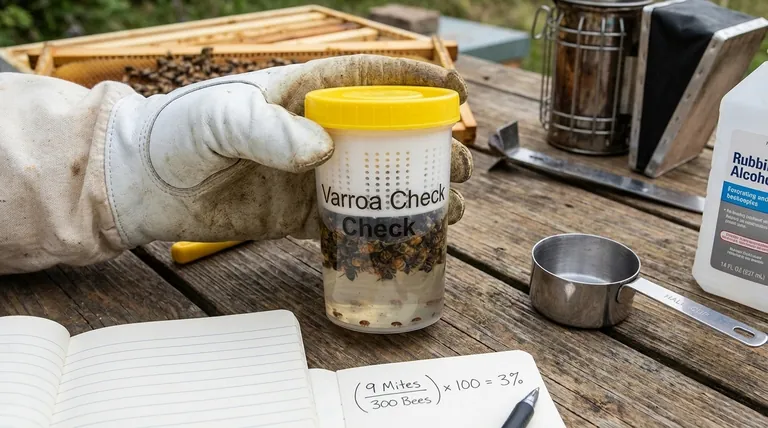 How is the infestation percentage calculated after counting mites? Master Varroa Mite Monitoring