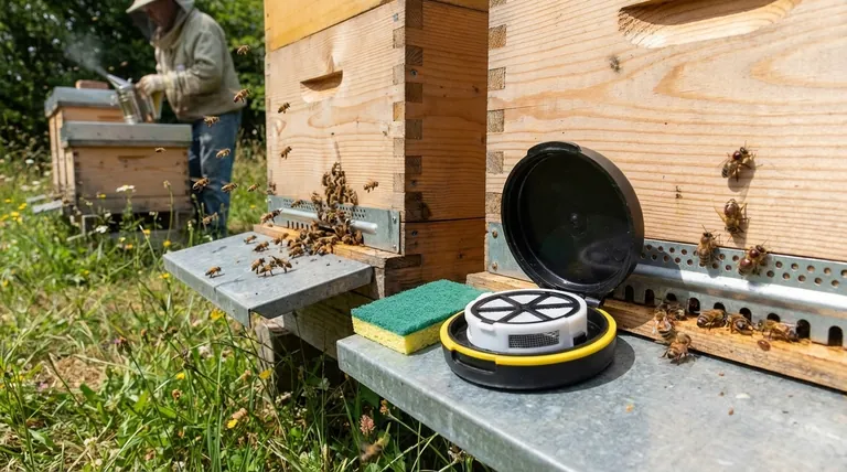 How do Varroa mites spread between honey bee colonies? Stop Mite Transmission in Your Apiary