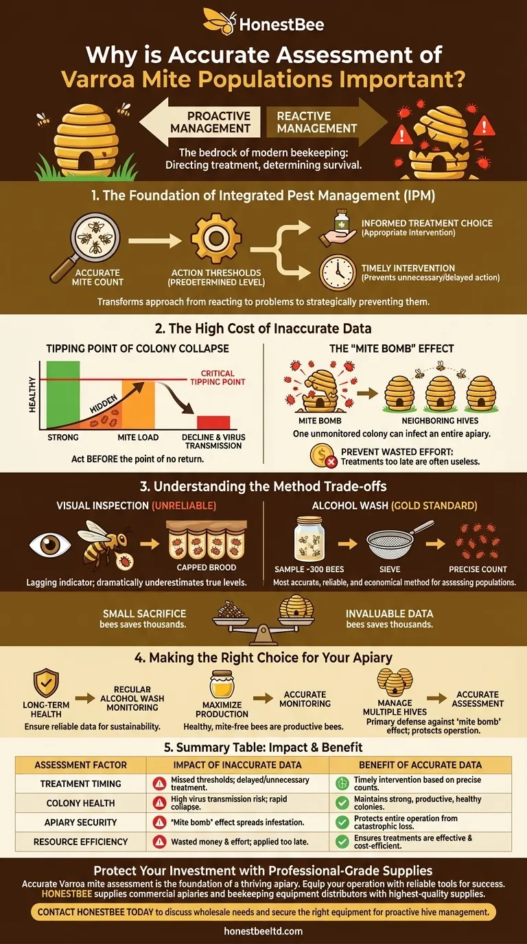 Why is accurate assessment of Varroa mite populations important? The Key to Proactive Apiary Management Visual Guide