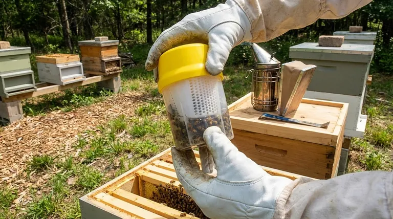 What is the most reliable method for assessing Varroa mite infestations? Master Proactive Hive Management