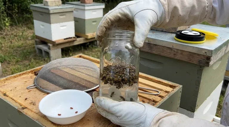 如何进行酒精冲洗法来检测瓦螨?准确监测的分步指南