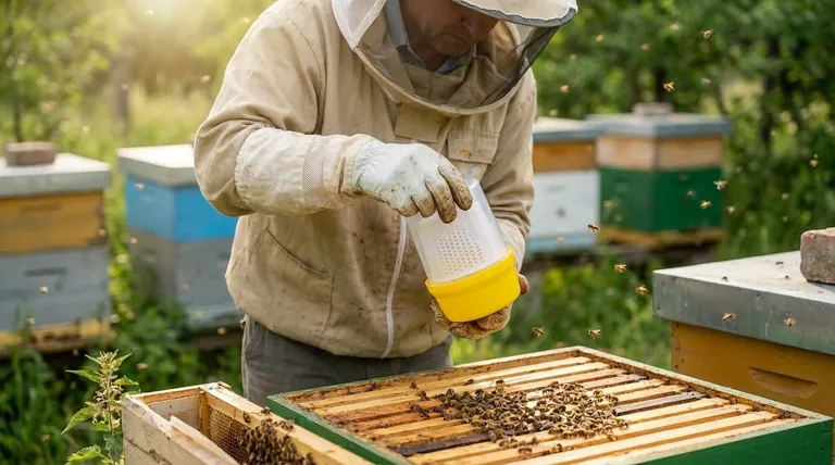 Warum ist die regelmäßige Überwachung von Varroamilbenbefall für Imker wichtig? Umstellung auf proaktives Bienenstockmanagement