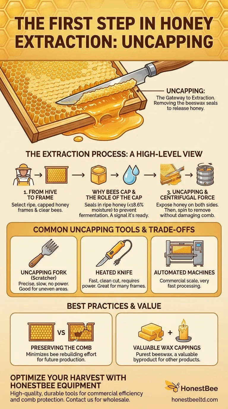 What is the first step in the honey extraction process? Master the Critical Art of Uncapping Visual Guide