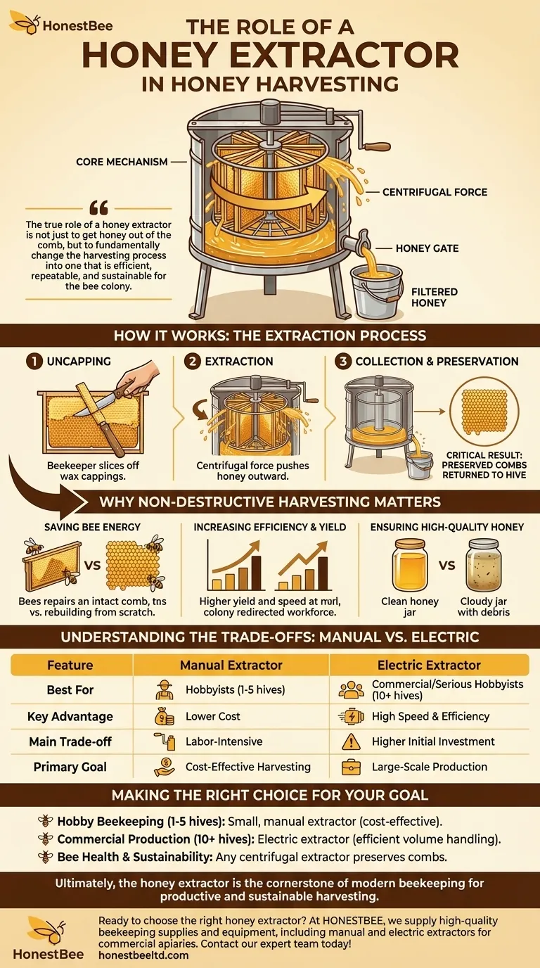 Quel est le rôle d'un extracteur de miel ? Maximiser le rendement en miel et protéger votre colonie d'abeilles Guide Visuel