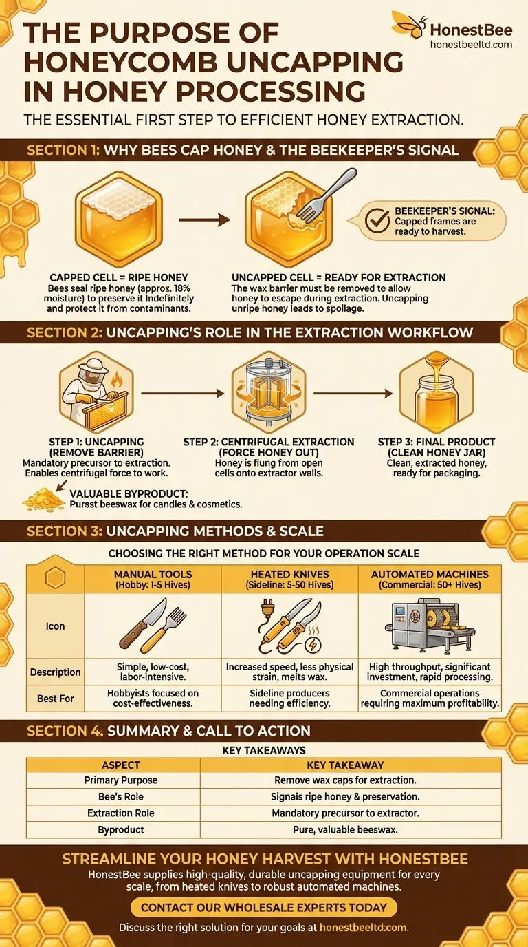 What is the purpose of honeycomb uncapping in honey processing? Unlock Efficient Honey Extraction Visual Guide