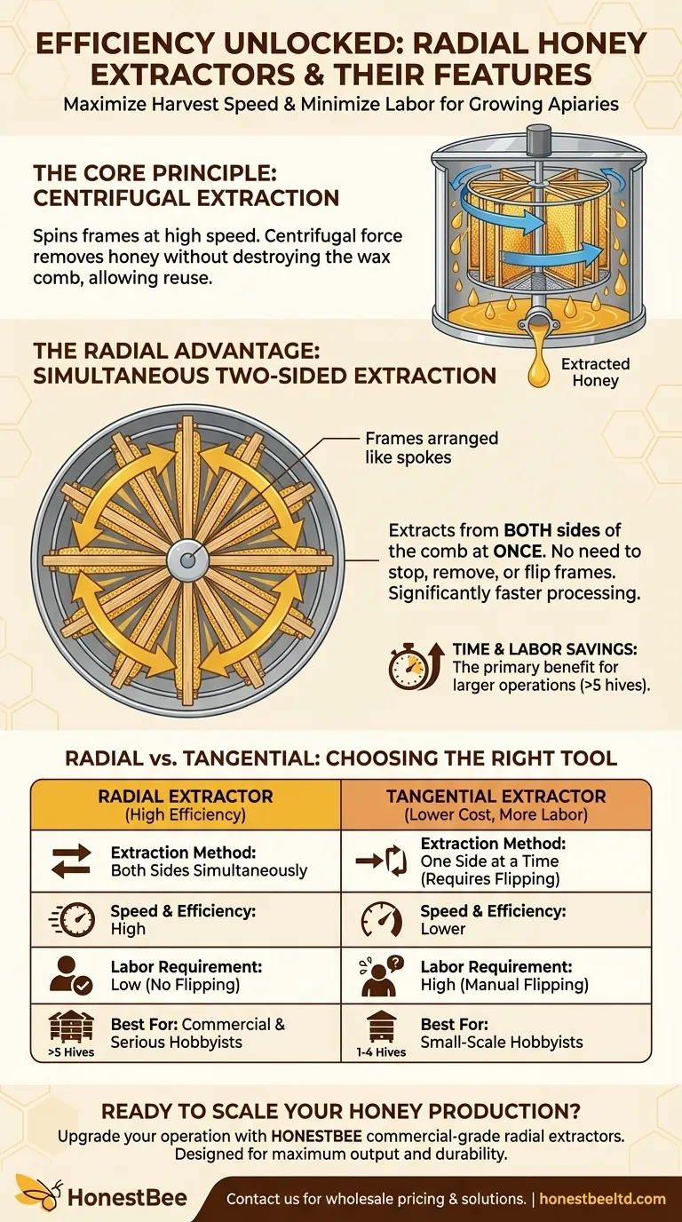 What are radial honey extractors and what are their features? Maximize Your Honey Harvest Efficiency Visual Guide