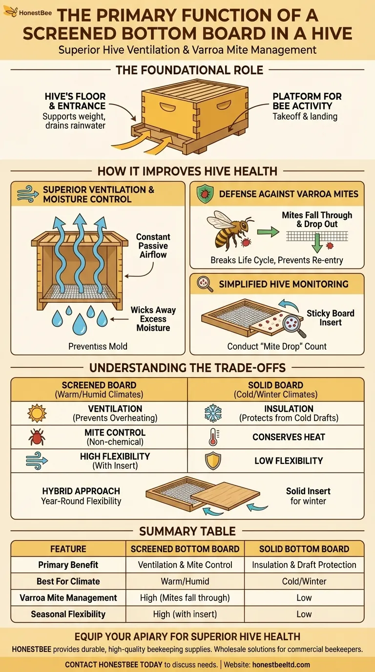 蜂箱带纱底板的主要功能是什么？增强通风和控制瓦螨 图解指南