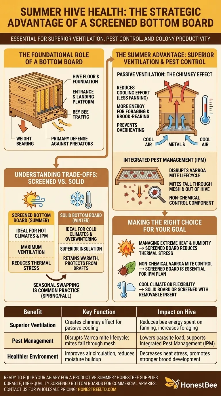 How does a screened bottom board benefit the hive during the summer? Boost Ventilation & Pest Control Visual Guide