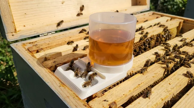 What is the purpose of the transparent cup in the bee feeder? Prevent Drowning & Monitor Your Hive