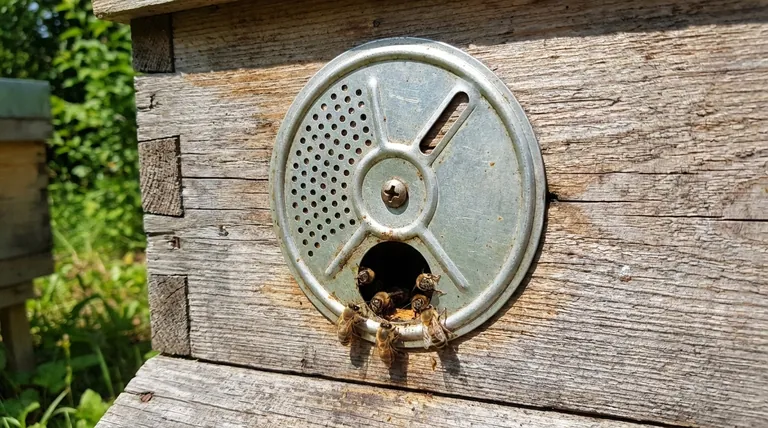 圆形金属蜂箱入口盘是如何安装的?用于智能蜂箱管理的简易枢轴安装