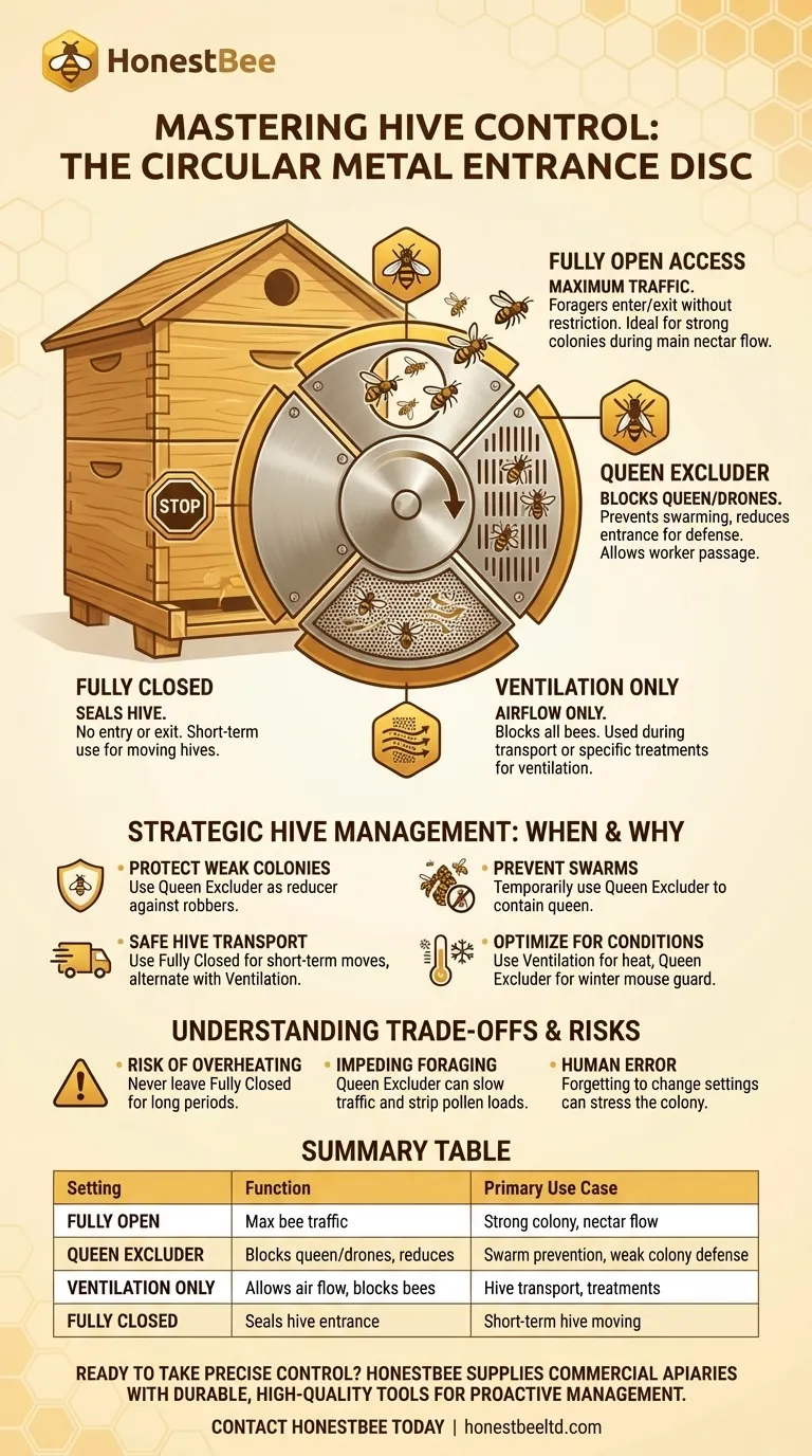 What control does the circular metal beehive entrance disc provide? Master Hive Access & Bee Health Visual Guide