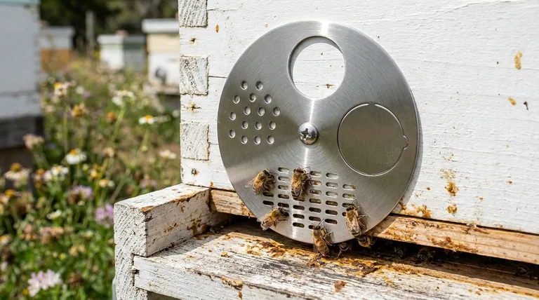 What control does the circular metal beehive entrance disc provide? Master Hive Access & Bee Health