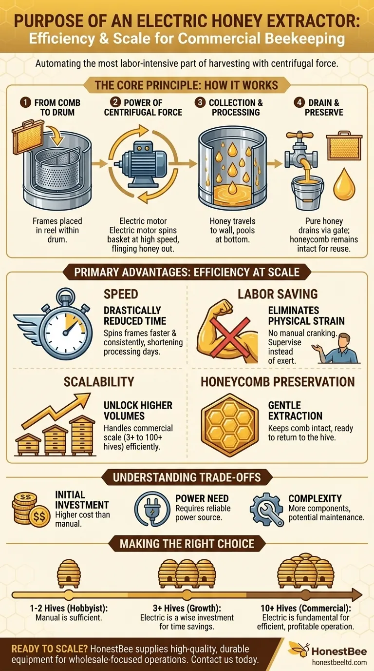What is the purpose of an electric honey extractor? Scale Your Harvest with Ease Visual Guide