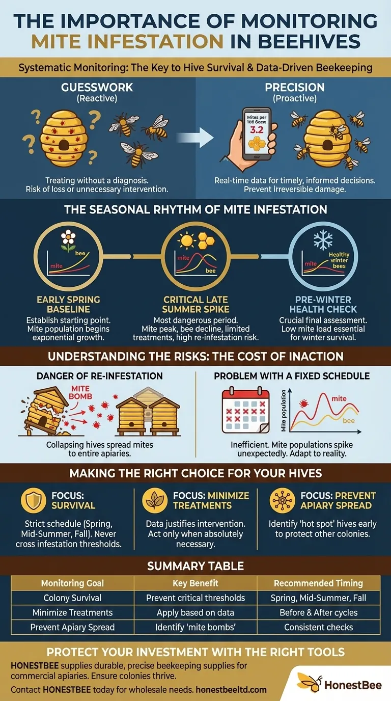 What is the importance of monitoring mite infestation in beehives? Protect Your Colonies from Collapse Visual Guide