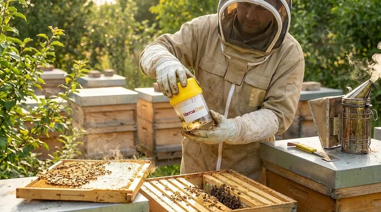 What are the objectives of mite infestation monitoring? Optimize Control & Protect Your Apiary