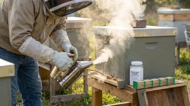 How does oxalic acid work as a Varroa control method? A Safe, Effective Solution for Your Apiary