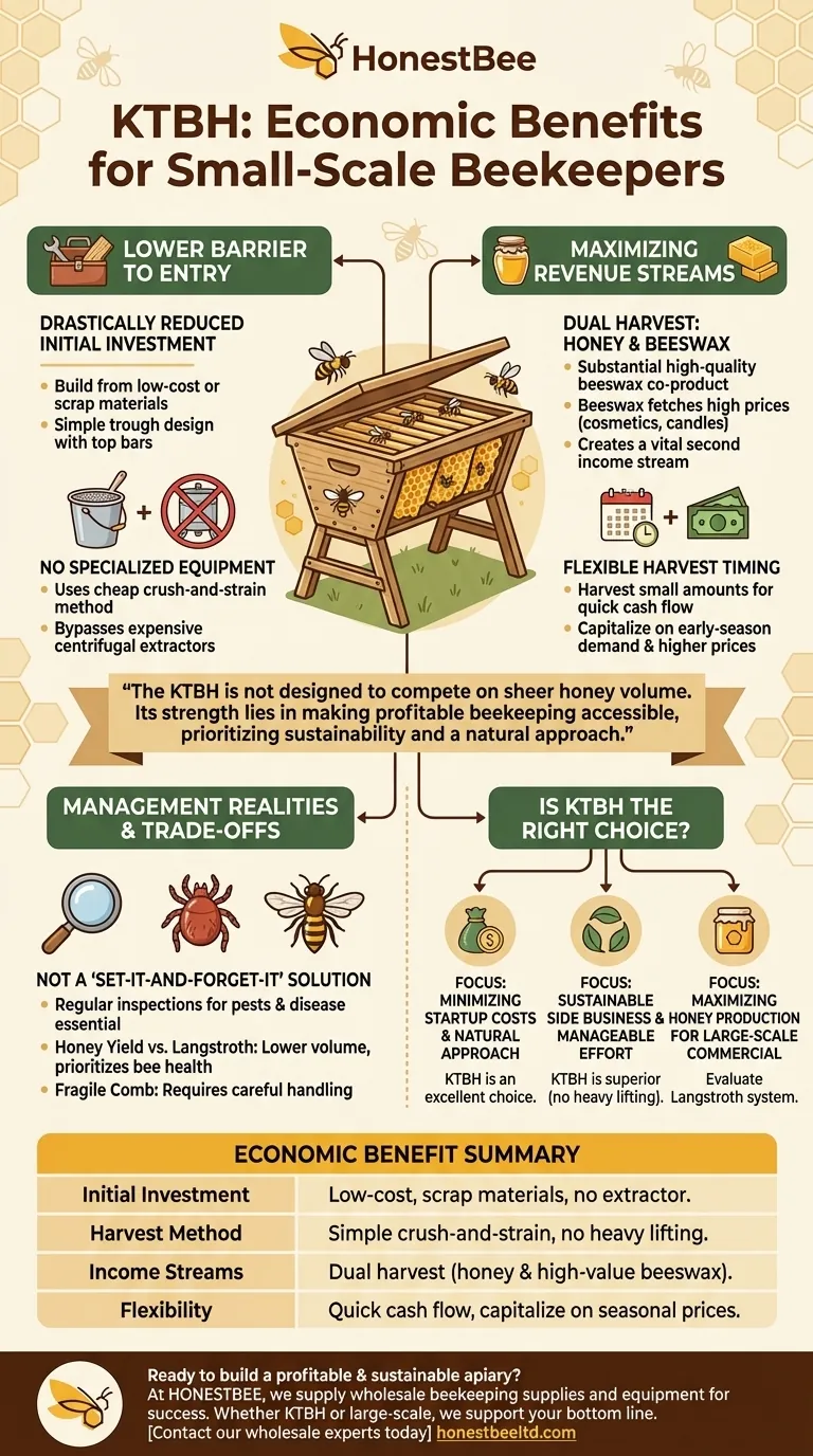 What economic benefits does the Kenya Top-Bar Hive (KTBH) offer? Achieve Low-Cost, Sustainable Beekeeping Visual Guide