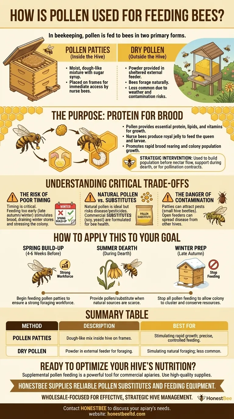 How is pollen used for feeding bees? A Guide to Timing and Methods for Healthy Hives Visual Guide