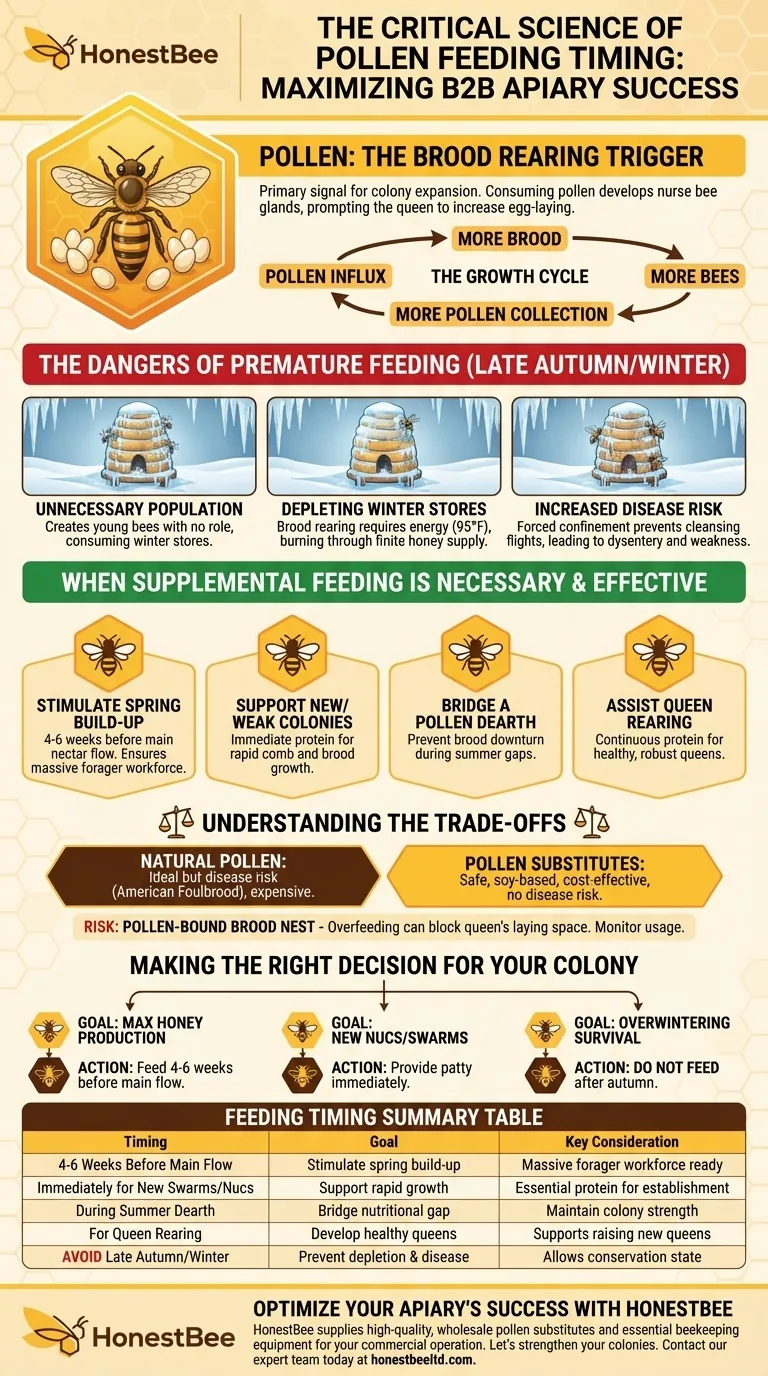 Why is timing important when feeding pollen to bees? Master the Key to Colony Health and Honey Production Visual Guide