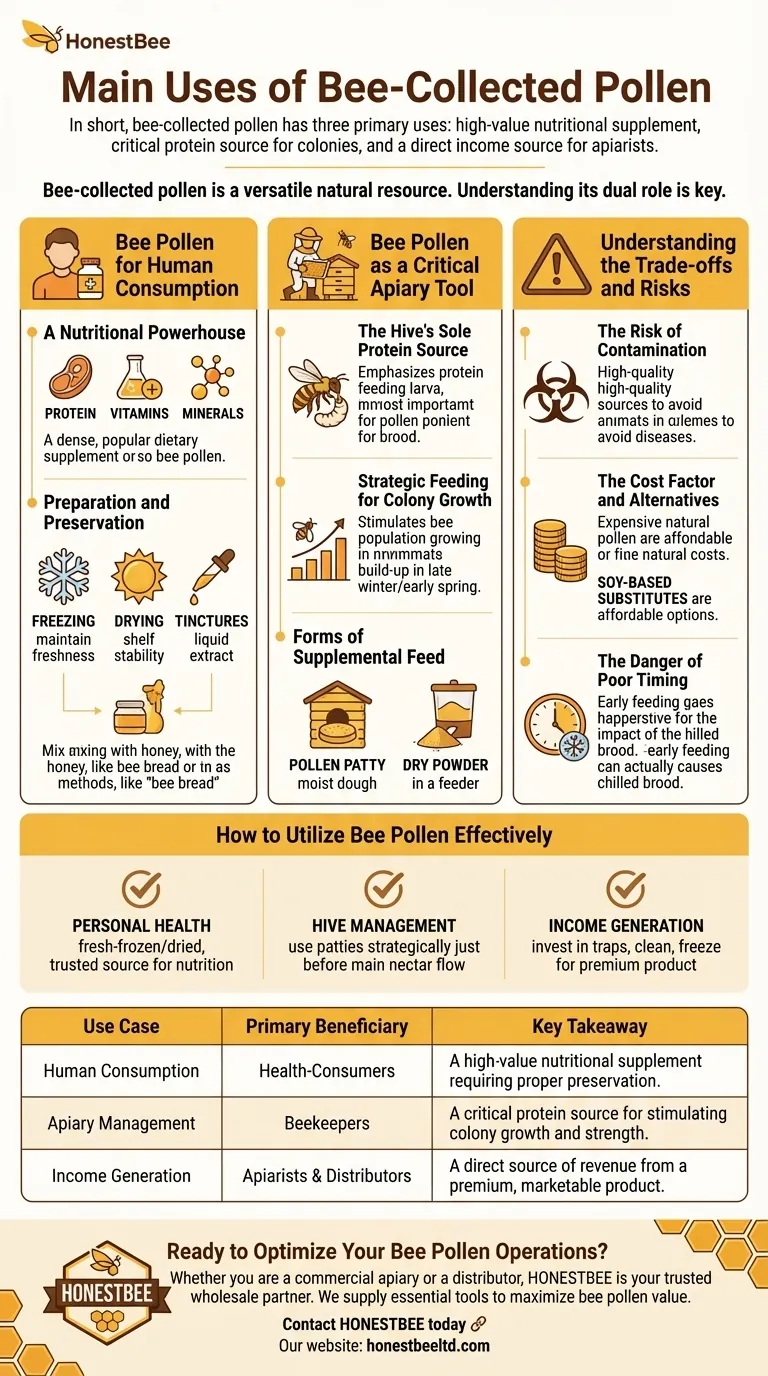 What are the main uses of bee-collected pollen? A Guide for Apiary Management and Product Sales Visual Guide