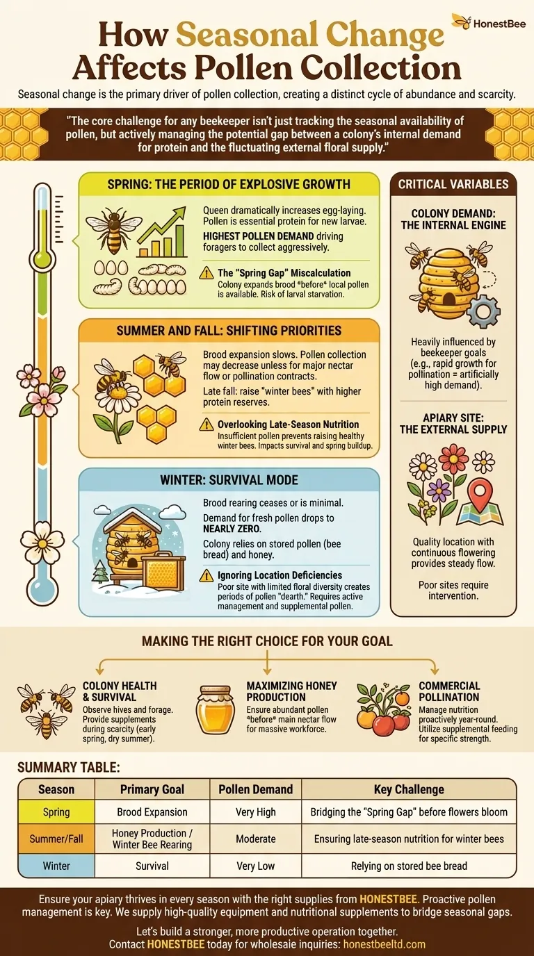 How does seasonal change affect pollen collection? A Guide to Year-Round Bee Nutrition Visual Guide