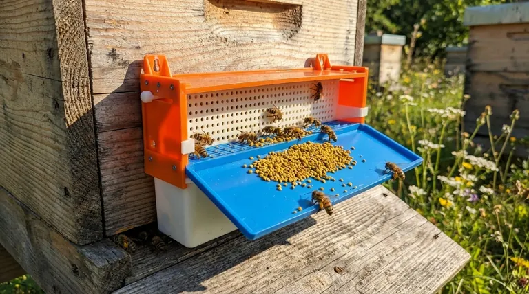 What are the key features of an effective pollen trap? Maximize Harvests & Protect Hive Health