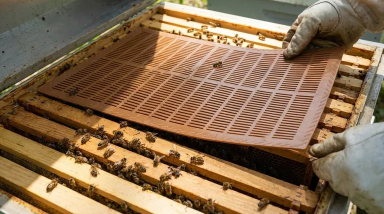 What are the differences between bottom-mounted and front-mounted pollen traps? Choose the Right Tool for Your Harvest.