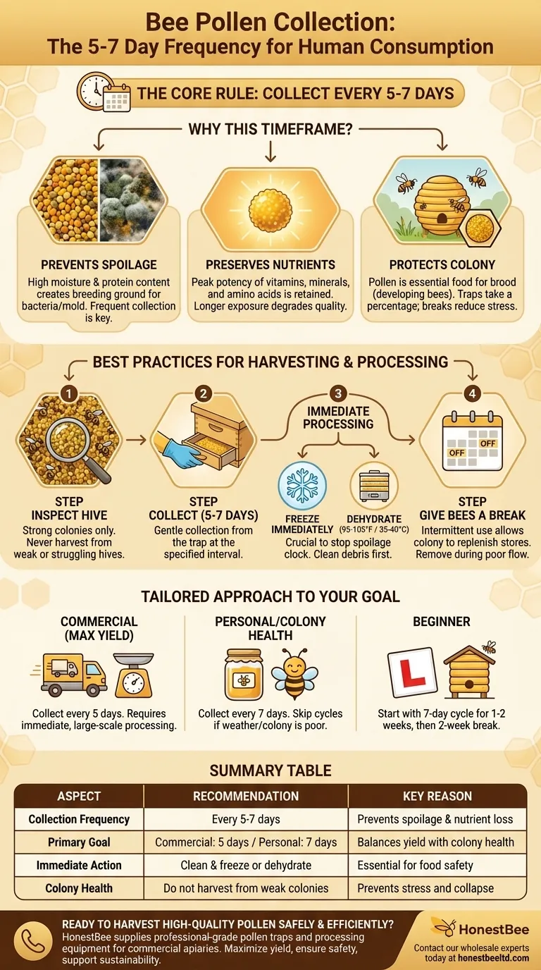 用于人类食用的花粉应该多久采集一次？优化您的采收计划 图解指南