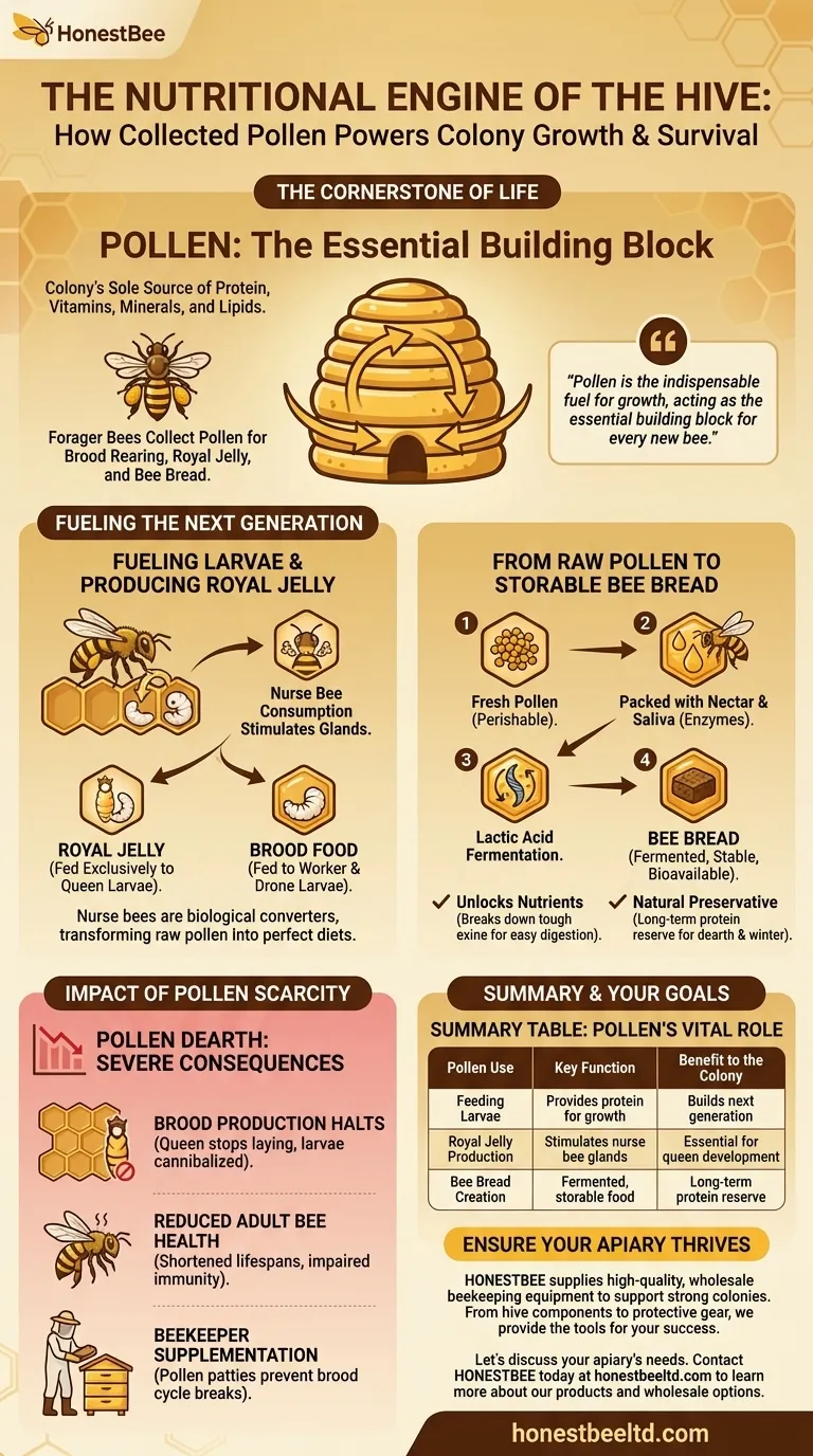 What are the nutritional uses of collected pollen within the hive? Essential Fuel for Colony Growth Visual Guide